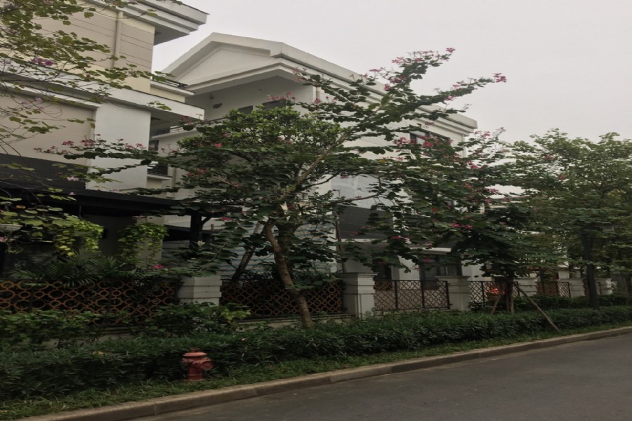 bán biệt thự H10 căn góc diện tích 154m2 vị trí đẹp 1