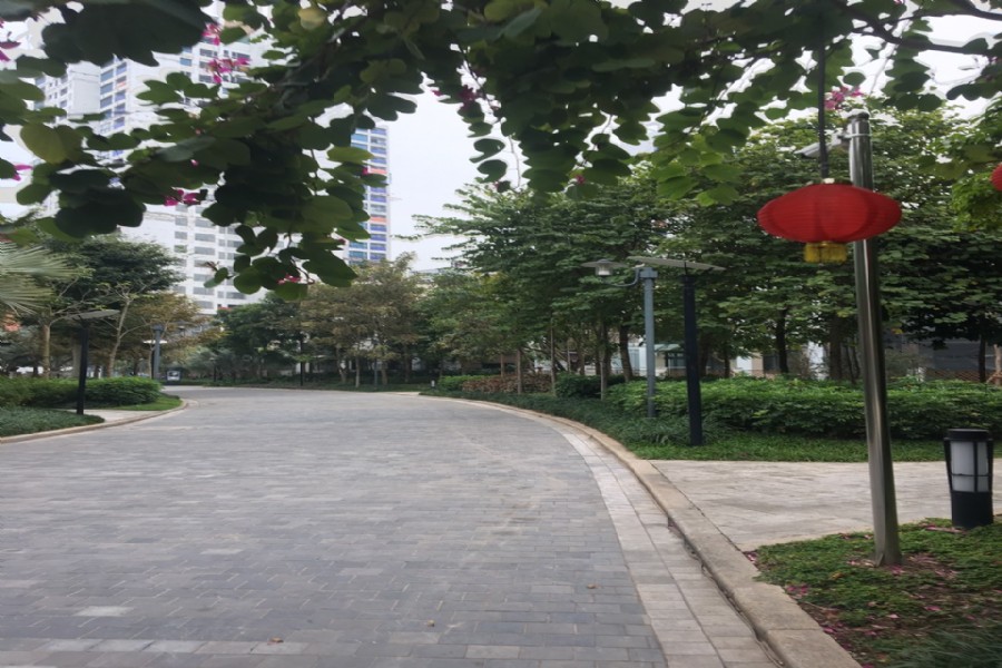 bán biệt thự H11 Starlake tây hồ đẹp 1