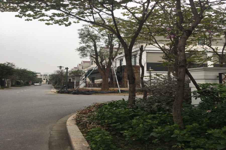 Bán biệt thự H11 viu hồ điều hòa ,vi trí đẹp giá tốt 1