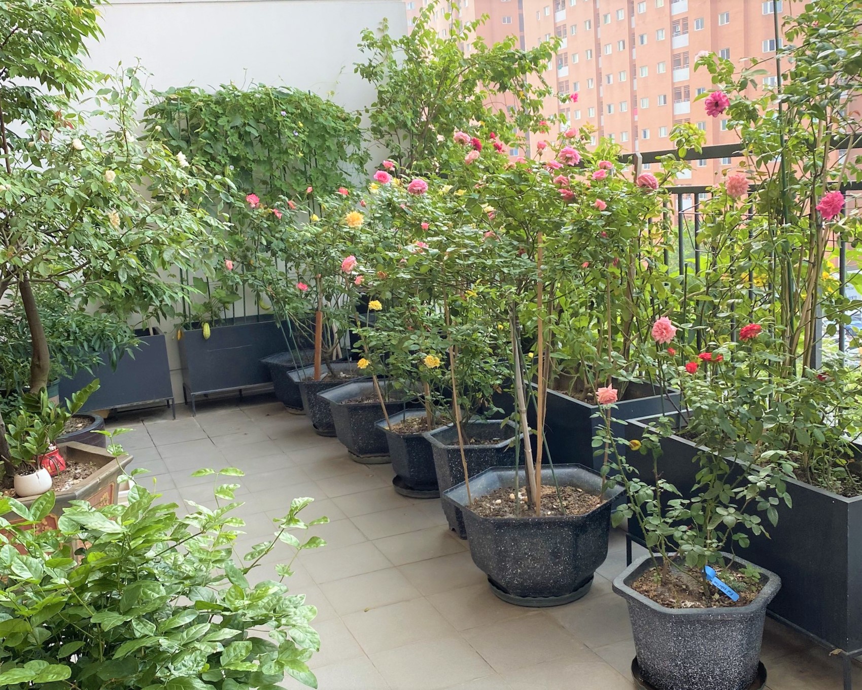 BÁN GẤP: Căn 3PN/125m2 (+30m2 sân vườn) full nội thất tại 901 Starlake 7