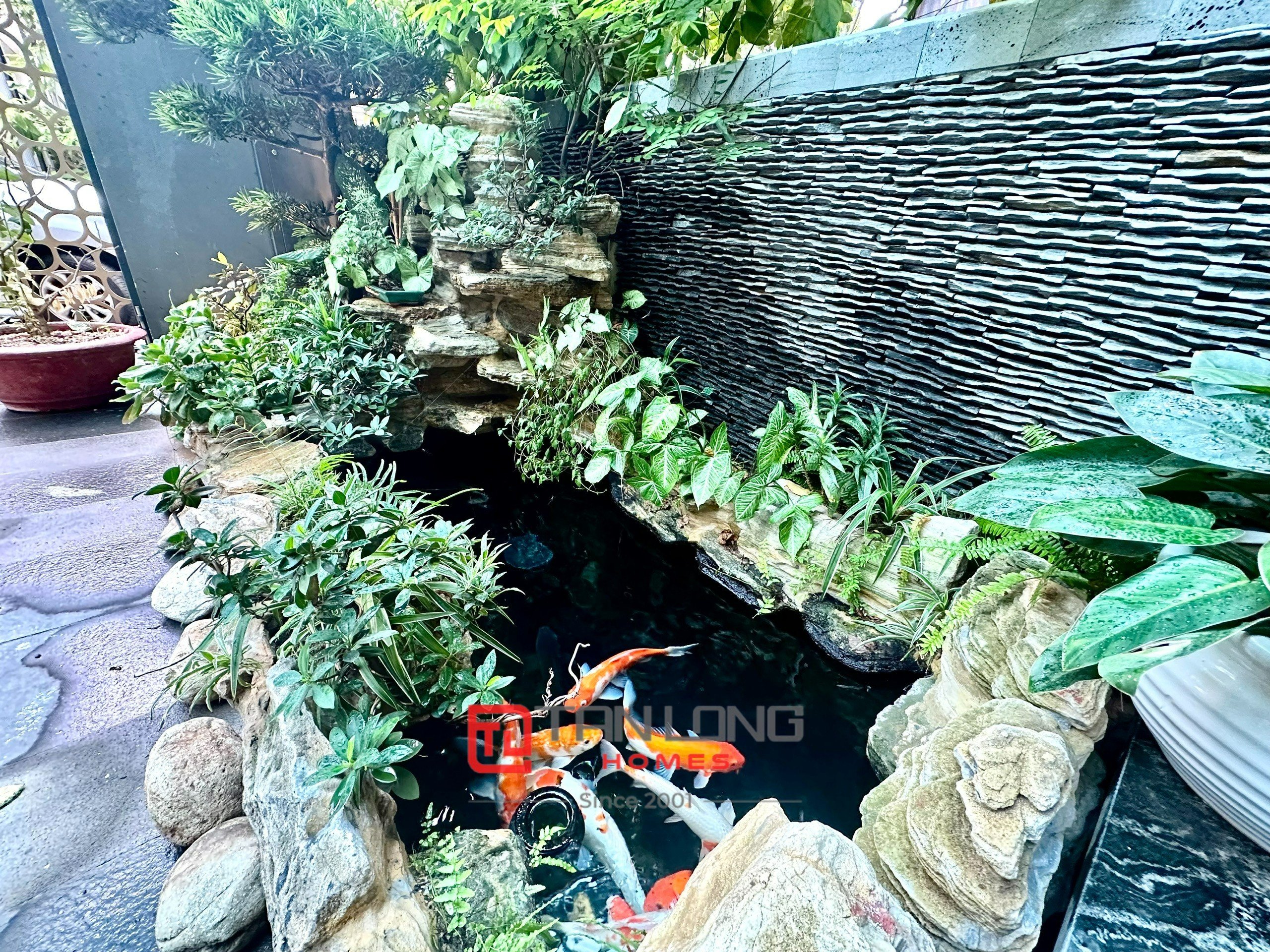 Cho thuê biệt thự H11 Starlake: 3PN/136m2 full đồ, thang máy, tiểu cảnh hồ cá Koi 1