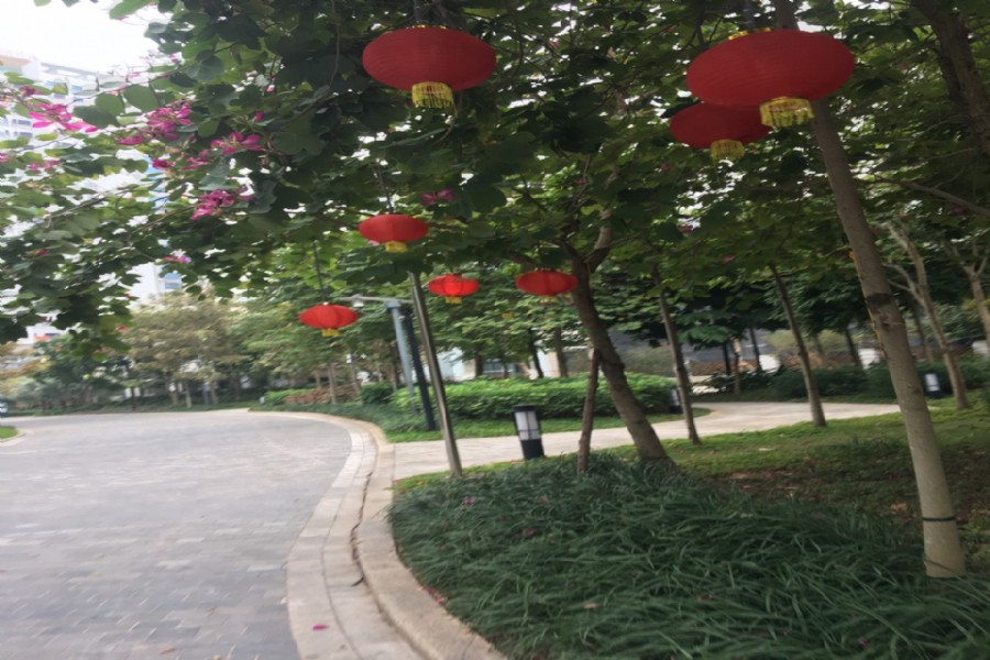 cho thuê Biệt thự H11 thiết kế 5 phòng ngủ, đủ đồ nội thất cao cấp 0906005117 1