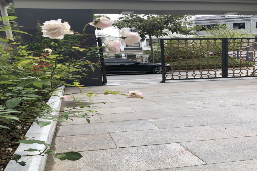 cho thuê biệt thự H7TT2 Starlake tây hồ 04 phòng ngủ đep 1