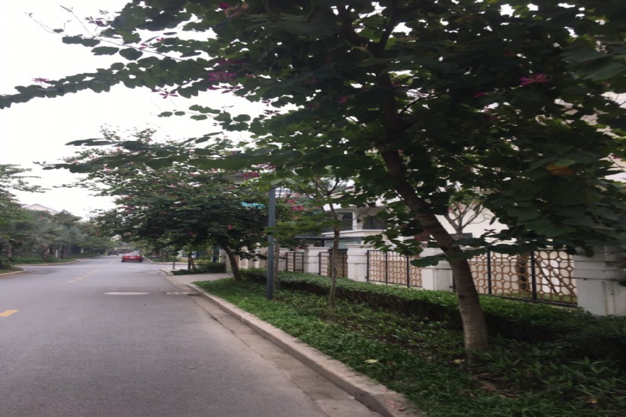 cho thuê biệt thự H7TT2 vị trí đẹp full nội thất liên hệ:0906005117 1