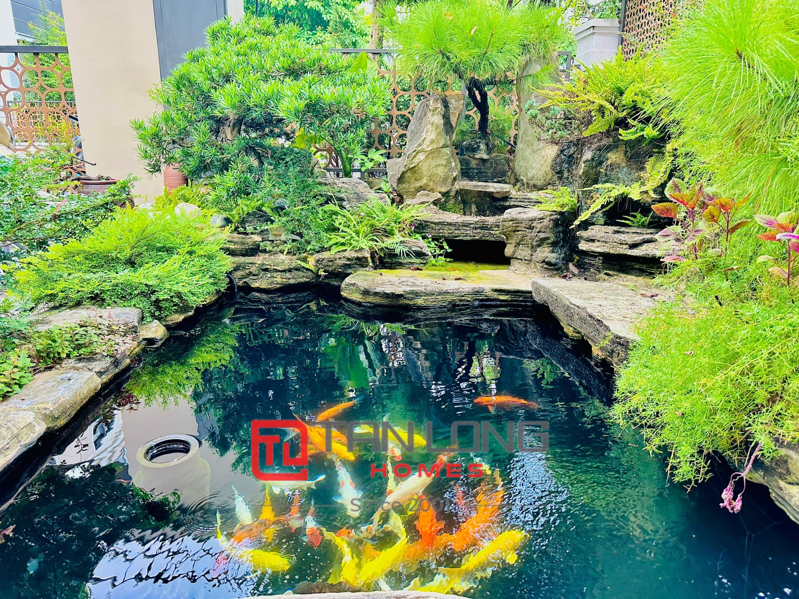 Cho thuê biệt thự song lập H6 Starlake: 5PN/215m2 full đồ nhập khẩu, có thang máy 27