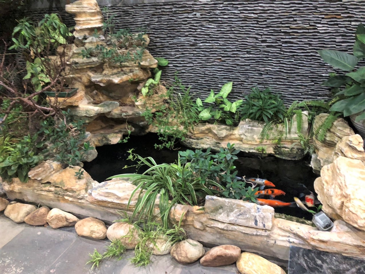 Cho thuê nhà liền kề 136m2 full đồ có thang máy, tiểu cảnh hồ cá Koi H11 Starlake 6