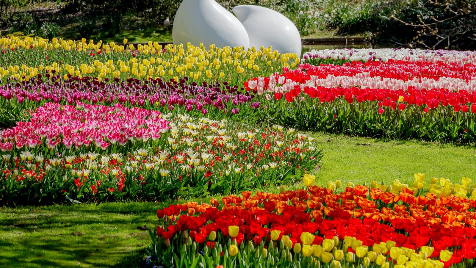 vườn hoa tây hồ